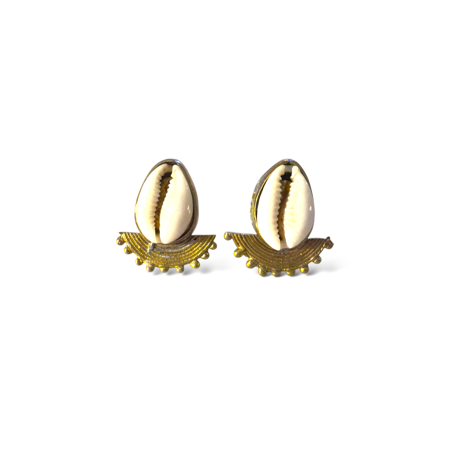 Unique Cawrie Shell Earrings